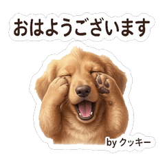 Cookie Daily Reactions Vol.1