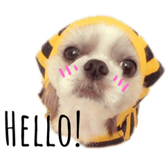 @papie_20260318001251