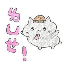 我是小灰貓