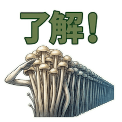 The Fungal Society: Formalities