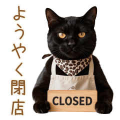 Exhausted Barista Black Cat