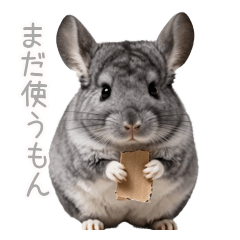 Chinchilla Keeps Everything