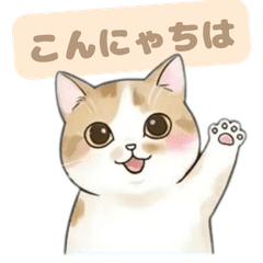 Everyday Fluffy Tabby: Sweet Cat Life