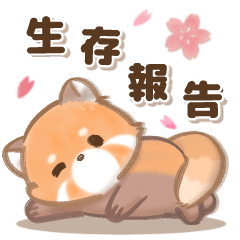 Poyapoya red panda relaxed daily life