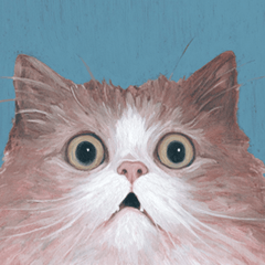 超ㄎㄧㄤ貓咪百變表情包（無字）