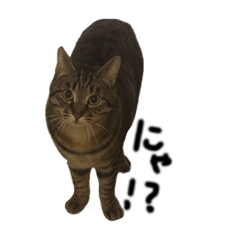 Futaba_20260318013023