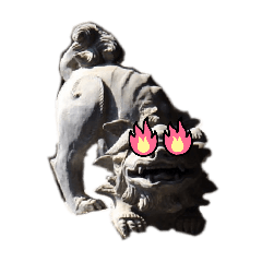 Marin_20260315020914