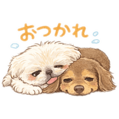 yuchan_20260318124438