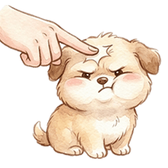 QQQQQQQQQQpuppy no1