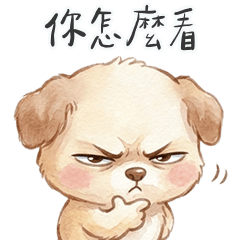 絨毛小狗狗戲很多