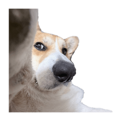 Mumu in the house ❗️