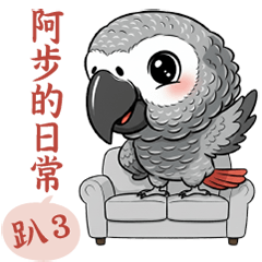 四號師傅灰鸚愛說話