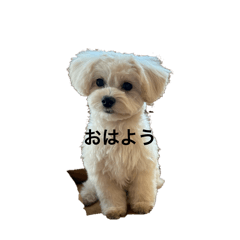 latte_20260315093348