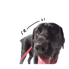 risei_20260315112512