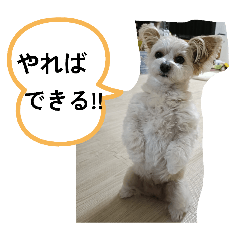 kotake yasuyuki_20260318034524