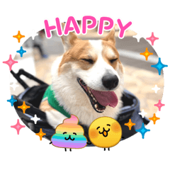 Coron_20260318073814