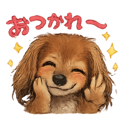 kohituji_20260318081048