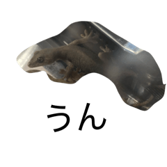 cornpotage_20260318081558