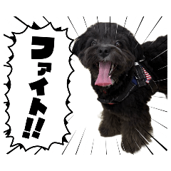 rabbimon_20260318080721