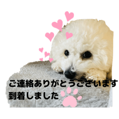 miizoo_20260318080723