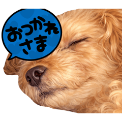 tsuka_20260318121216