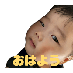 sasasau_20260318121242
