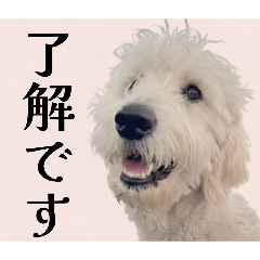 yamato_20260318133401