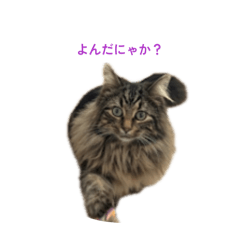 matsu_20260318140619