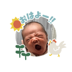 mitamero_20260318140840