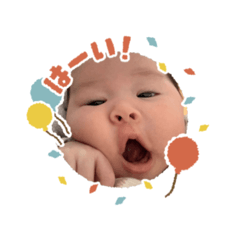 shiho_20260318120724