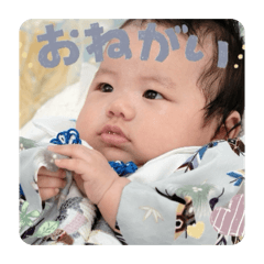 hitomi_20260318141942