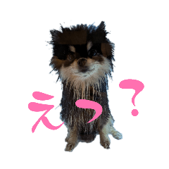 tanten_20260318153044