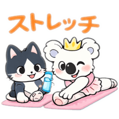 hachi-stagram_20260313200254