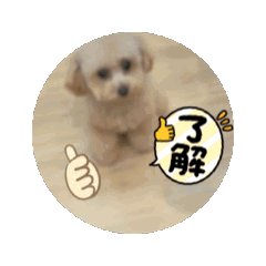 MIZUKI_20260318141224