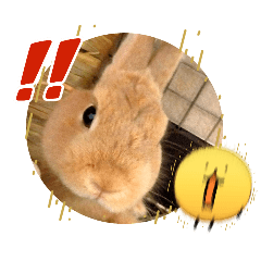 kanapi_20260315085536