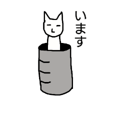 an oil drum cat