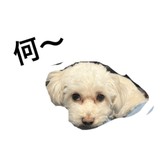 yu-ko_20260318203132