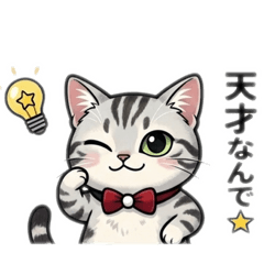 popola_20260318202809