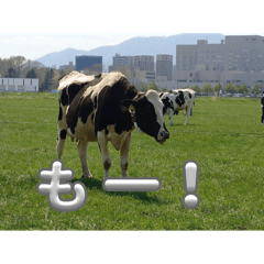 Akira U_20260315153926