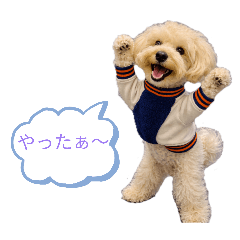 REI_20260318202527
