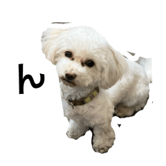 yu-ko_20260318203559