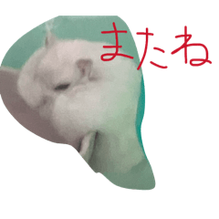 Mogusuke_20260318203805