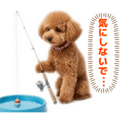 MATSUMOTO_20260318204330