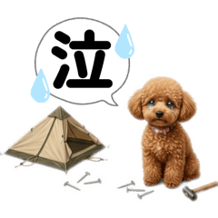 MATSUMOTO_20260318204437