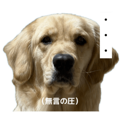 OOOIOCHA_20260318205006