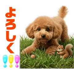 MATSUMOTO_20260318210034