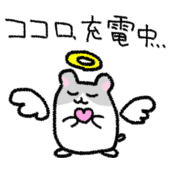 2yank0_20260318170303