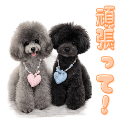 Anju & Ranmaru Happy Time