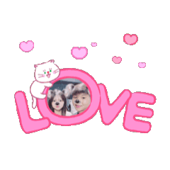 Kanombaitoei_20260318202602