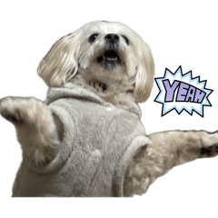 RioNico_20260318152447